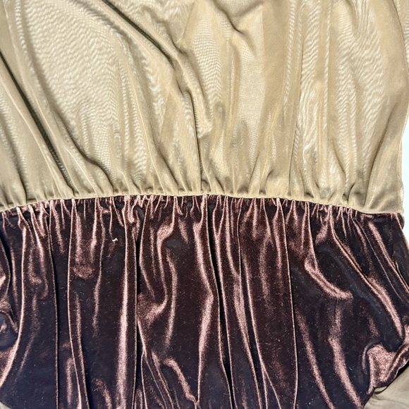 Vintage Brown Sheer Velvet Long Sleeve Top Size 2XL Whimsy Goth Y2K - Picture 4 of 5